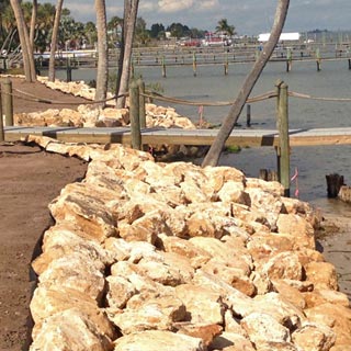 Click for Shoreline Restoration info
